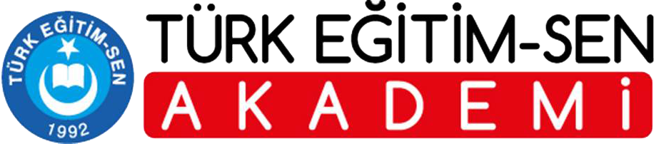 Türk Eğitim Sen Akademi Logo